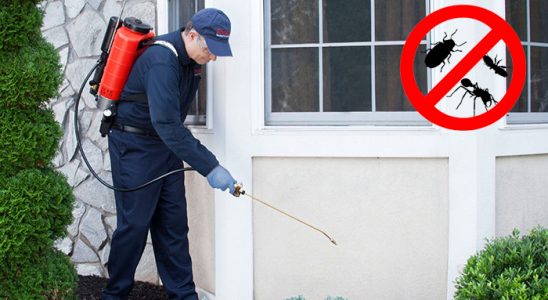 Hacılar Karınca İlaçlama böcek ilaçlama ve haşere kontrolü — ilaclama-tr.com